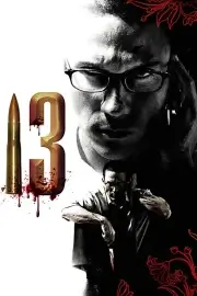 13 (13 заданий) (2006)